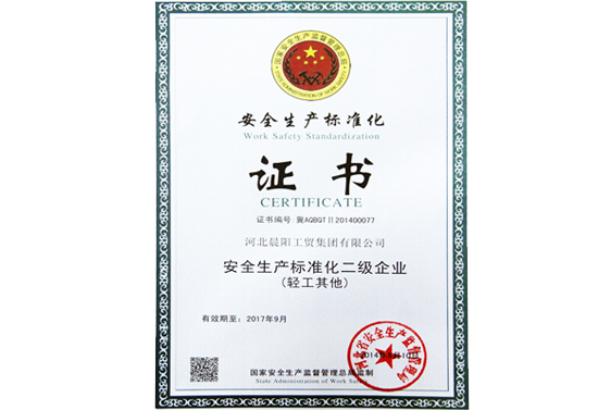 Second Level Work Safety Standardization Enterprise Certificate 